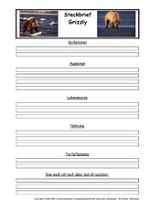Grizzly-Steckbriefvorlage.pdf